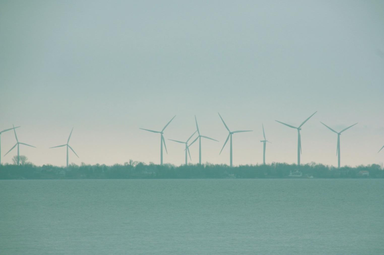 Participants discutant lors d'un séminaire en ligne sur les énergies renouvelables